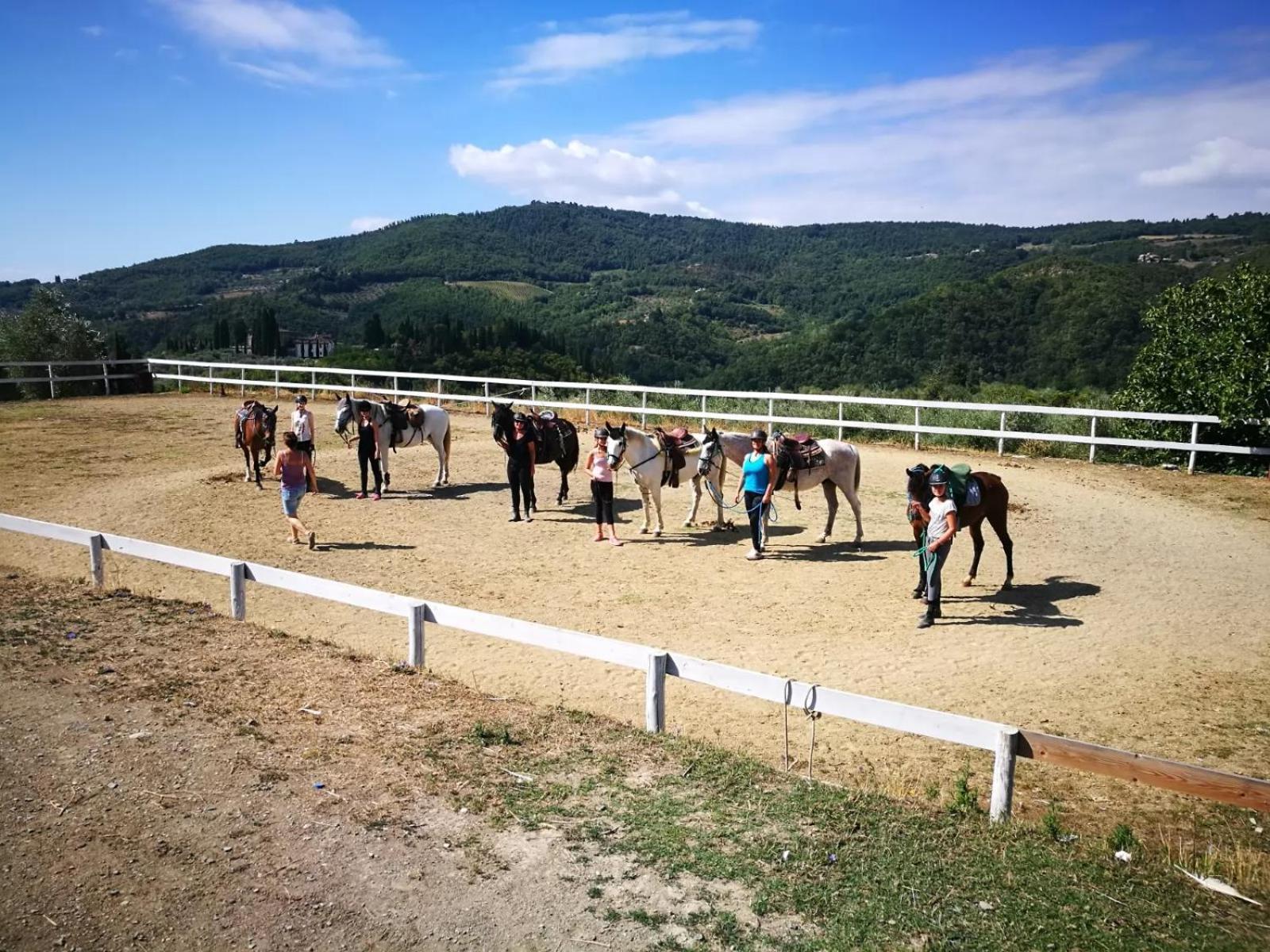 Agriturismo Il Giardino Pontassieve Kültér fotó