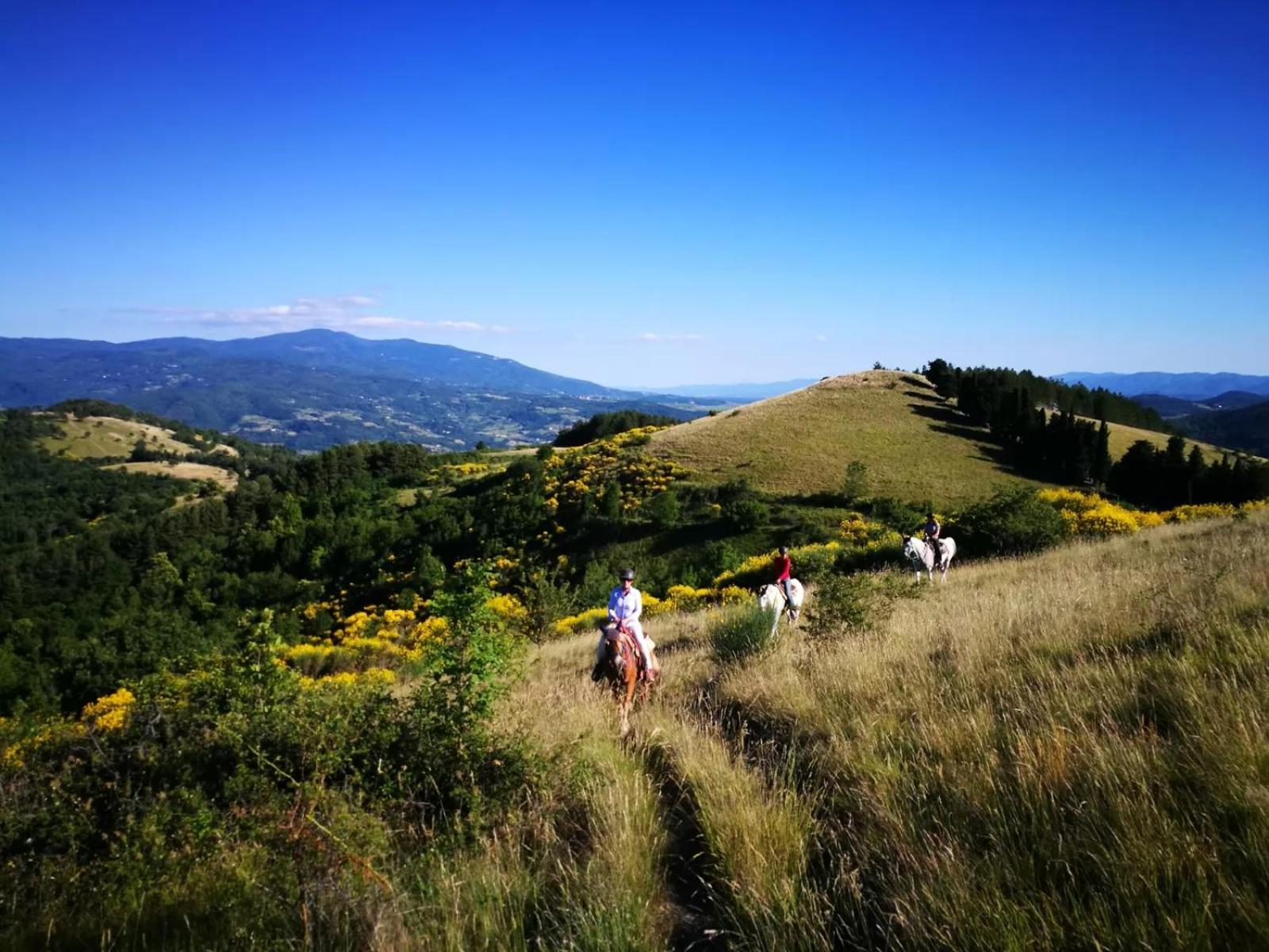 Agriturismo Il Giardino Pontassieve Kültér fotó