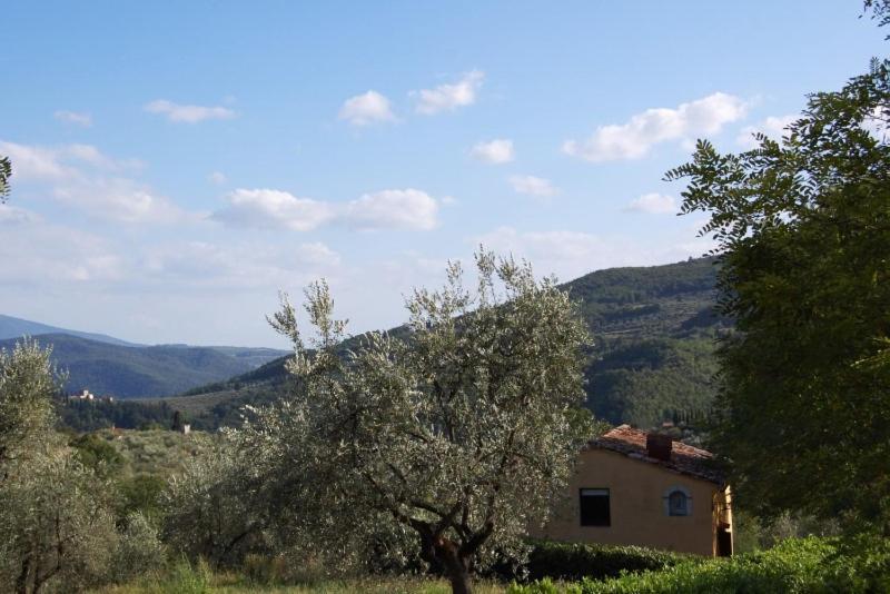 Agriturismo Il Giardino Pontassieve Kültér fotó