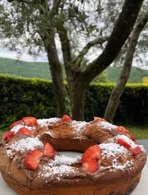 Agriturismo Il Giardino Pontassieve Kültér fotó